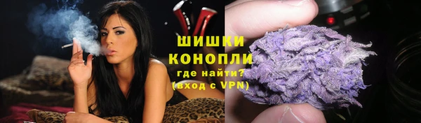 дживик Богородицк