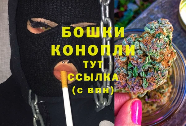 дживик Богородицк